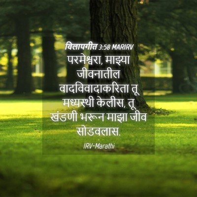 Picture 04 - विलापगीत 3:58 MARIRV - परमेश्वरा, माझ्या - Bible Verse Picture