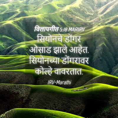 Picture 04 - विलापगीत 5:18 MARIRV - सियोनचे डोंगर - Bible Verse Picture
