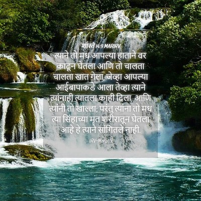Picture 04 - शास्ते 14:9 MARIRV - त्याने तो मध - Bible Verse Picture