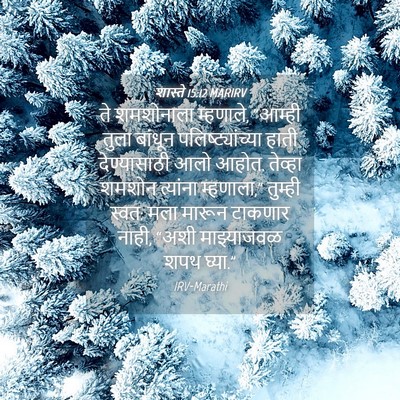 Picture 04 - शास्ते 15:12 MARIRV - ते शमशोनाला - Bible Verse Picture