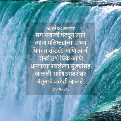 Picture 04 - शास्ते 15:5 MARIRV - मग मशाली पेटवून - Bible Verse Picture