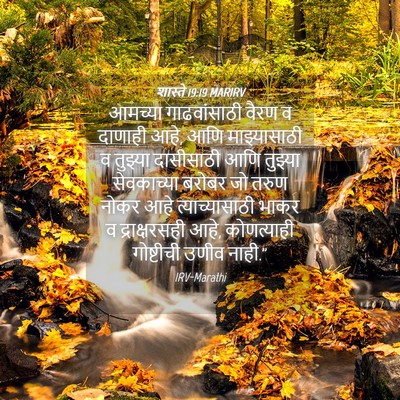 Picture 04 - शास्ते 19:19 MARIRV - आमच्या गाढवांसाठी - Bible Verse Picture