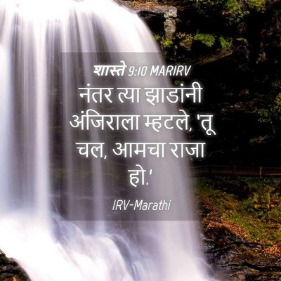 Picture 04 - शास्ते 9:10 MARIRV - नंतर त्या झाडांनी - Bible Verse Picture