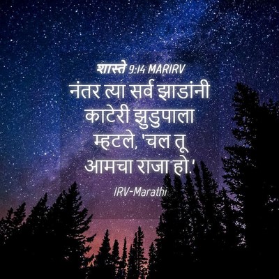 Picture 04 - शास्ते 9:14 MARIRV - नंतर त्या सर्व - Bible Verse Picture