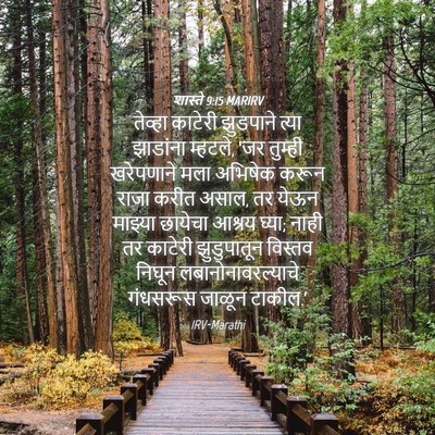 Picture 04 - शास्ते 9:15 MARIRV - तेव्हा काटेरी - Bible Verse Picture