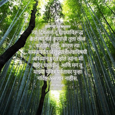 Picture 04 - सफन्या 3:11 MARIRV - त्या दिवसात तू - Bible Verse Picture