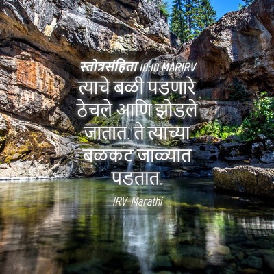Picture 04 - स्तोत्रसंहिता 10:10 MARIRV - त्याचे बळी पडणारे - Bible Verse Picture