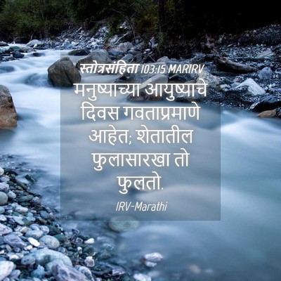 Picture 04 - स्तोत्रसंहिता 103:15 MARIRV - मनुष्याच्या - Bible Verse Picture