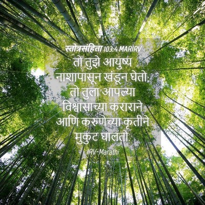 Picture 04 - स्तोत्रसंहिता 103:4 MARIRV - तो तुझे आयुष्य - Bible Verse Picture
