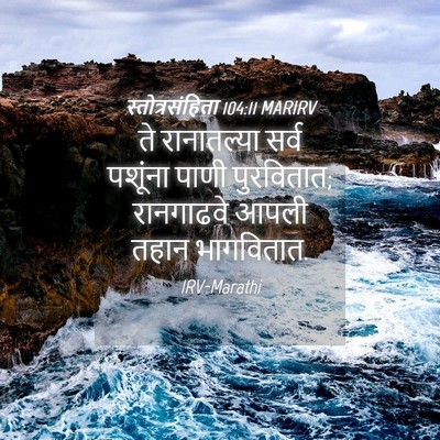 Picture 04 - स्तोत्रसंहिता 104:11 MARIRV - ते रानातल्या सर्व - Bible Verse Picture