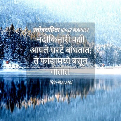 Picture 04 - स्तोत्रसंहिता 104:12 MARIRV - नदीकिनारी पक्षी - Bible Verse Picture