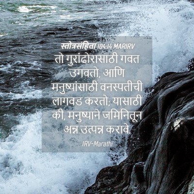 Picture 04 - स्तोत्रसंहिता 104:14 MARIRV - तो गुरांढोरासाठी - Bible Verse Picture