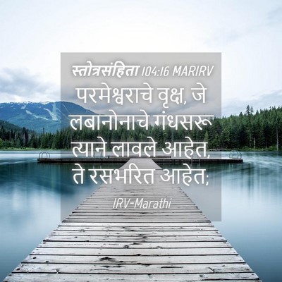 Picture 04 - स्तोत्रसंहिता 104:16 MARIRV - परमेश्वराचे - Bible Verse Picture