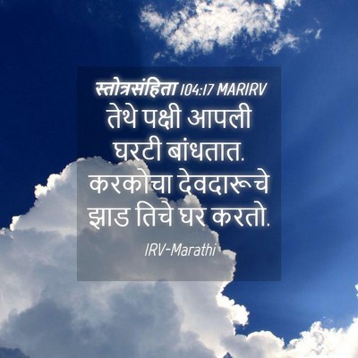 Picture 04 - स्तोत्रसंहिता 104:17 MARIRV - तेथे पक्षी आपली - Bible Verse Picture