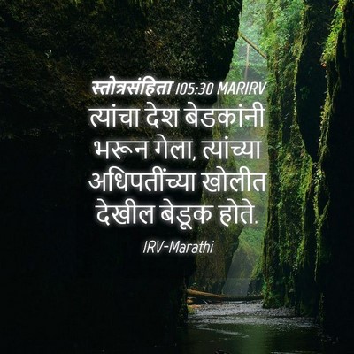 Picture 04 - स्तोत्रसंहिता 105:30 MARIRV - त्यांचा देश - Bible Verse Picture
