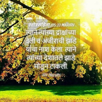 Picture 04 - स्तोत्रसंहिता 105:33 MARIRV - त्याने त्यांच्या - Bible Verse Picture