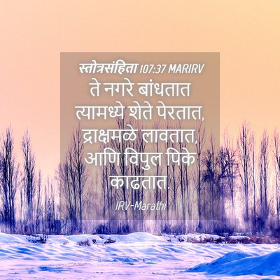 Picture 04 - स्तोत्रसंहिता 107:37 MARIRV - ते नगरे बांधतात - Bible Verse Picture