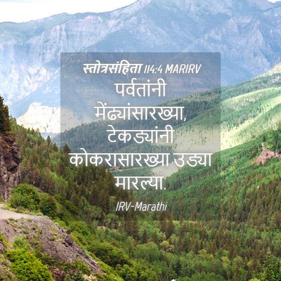Picture 04 - स्तोत्रसंहिता 114:4 MARIRV - पर्वतांनी - Bible Verse Picture