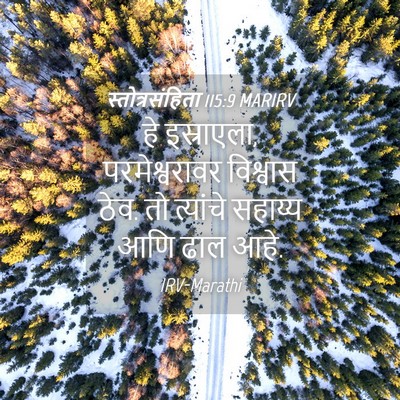 Picture 04 - स्तोत्रसंहिता 115:9 MARIRV - हे इस्राएला, - Bible Verse Picture