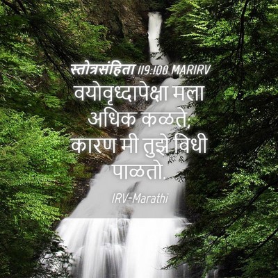 Picture 04 - स्तोत्रसंहिता 119:100 MARIRV - वयोवृध्दापेक्षा - Bible Verse Picture