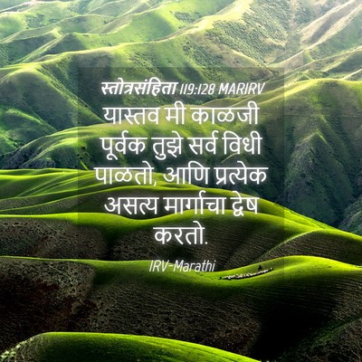 Picture 04 - स्तोत्रसंहिता 119:128 MARIRV - यास्तव मी काळजी - Bible Verse Picture