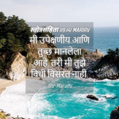 Picture 04 - स्तोत्रसंहिता 119:141 MARIRV - मी उपेक्षणीय आणि - Bible Verse Picture