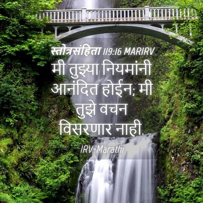 Picture 04 - स्तोत्रसंहिता 119:16 MARIRV - मी तुझ्या - Bible Verse Picture