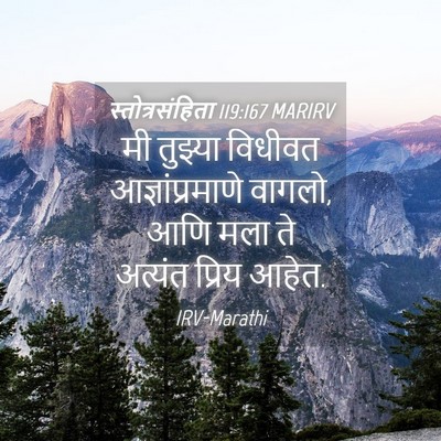 Picture 04 - स्तोत्रसंहिता 119:167 MARIRV - मी तुझ्या विधीवत - Bible Verse Picture