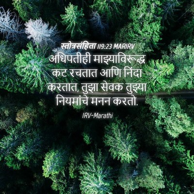 Picture 04 - स्तोत्रसंहिता 119:23 MARIRV - अधिपतीही - Bible Verse Picture