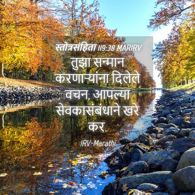 Picture 04 - स्तोत्रसंहिता 119:38 MARIRV - तुझा सन्मान - Bible Verse Picture