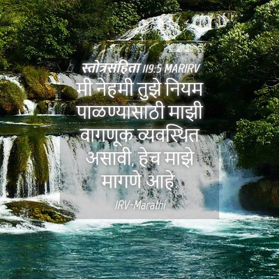 Picture 04 - स्तोत्रसंहिता 119:5 MARIRV - मी नेहमी तुझे नियम - Bible Verse Picture
