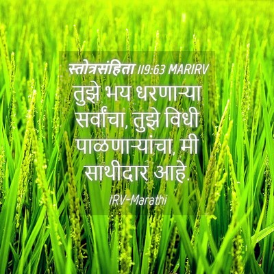 Picture 04 - स्तोत्रसंहिता 119:63 MARIRV - तुझे भय धरणाऱ्या - Bible Verse Picture
