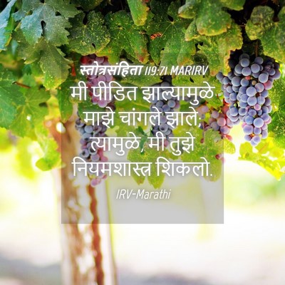 Picture 04 - स्तोत्रसंहिता 119:71 MARIRV - मी पीडित - Bible Verse Picture