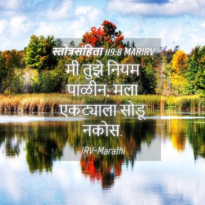 Picture 04 - स्तोत्रसंहिता 119:8 MARIRV - मी तुझे नियम पाळीन; - Bible Verse Picture