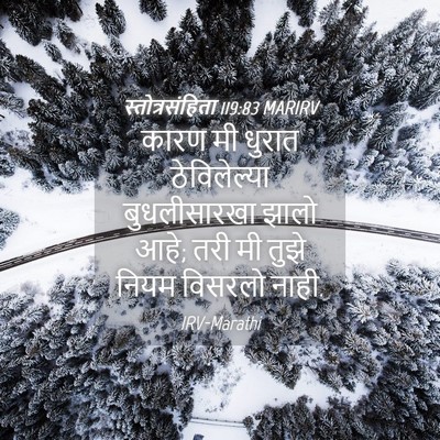 Picture 04 - स्तोत्रसंहिता 119:83 MARIRV - कारण मी धुरात - Bible Verse Picture