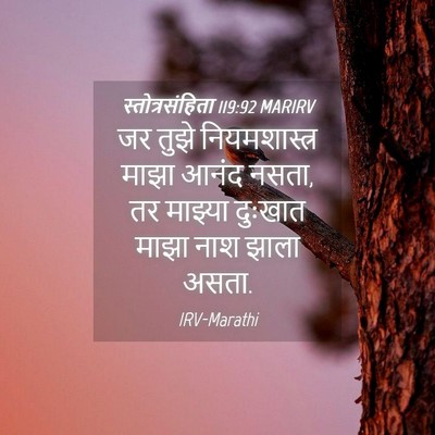 Picture 04 - स्तोत्रसंहिता 119:92 MARIRV - जर तुझे - Bible Verse Picture