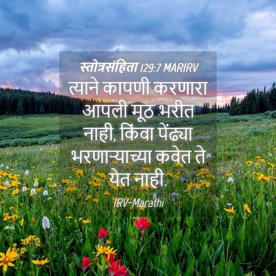 Picture 04 - स्तोत्रसंहिता 129:7 MARIRV - त्याने कापणी - Bible Verse Picture