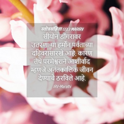 Picture 04 - स्तोत्रसंहिता 133:3 MARIRV - सीयोन डोंगरावर - Bible Verse Picture