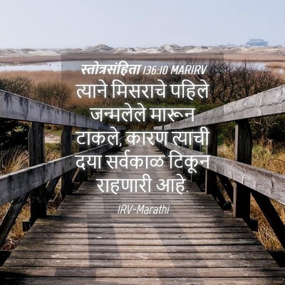 Picture 04 - स्तोत्रसंहिता 136:10 MARIRV - त्याने मिसराचे - Bible Verse Picture