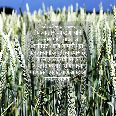 Picture 04 - स्तोत्रसंहिता 137:3 MARIRV - तेथे आम्हास - Bible Verse Picture