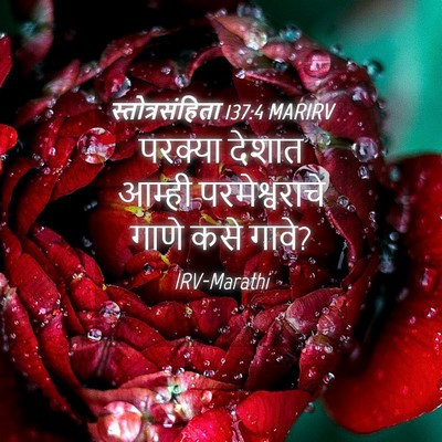 Picture 04 - स्तोत्रसंहिता 137:4 MARIRV - परक्या देशात - Bible Verse Picture