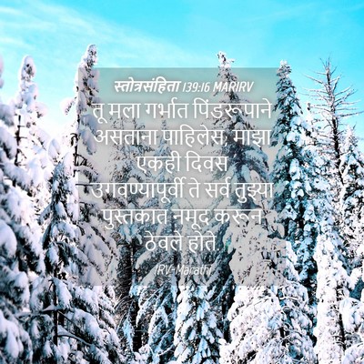 Picture 04 - स्तोत्रसंहिता 139:16 MARIRV - तू मला गर्भात - Bible Verse Picture