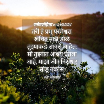 Picture 04 - स्तोत्रसंहिता 141:8 MARIRV - तरी हे प्रभू - Bible Verse Picture