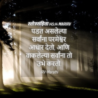 Picture 04 - स्तोत्रसंहिता 145:14 MARIRV - पडत असलेल्या - Bible Verse Picture