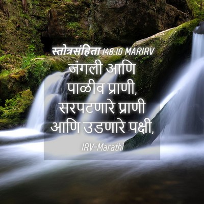 Picture 04 - स्तोत्रसंहिता 148:10 MARIRV - जंगली आणि पाळीव - Bible Verse Picture