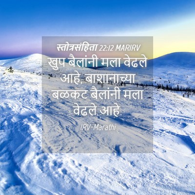 Picture 04 - स्तोत्रसंहिता 22:12 MARIRV - खुप बैलांनी मला - Bible Verse Picture