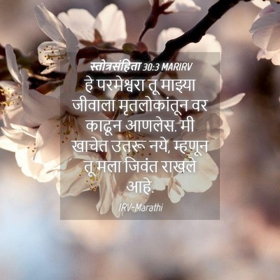 Picture 04 - स्तोत्रसंहिता 30:3 MARIRV - हे परमेश्वरा तू - Bible Verse Picture