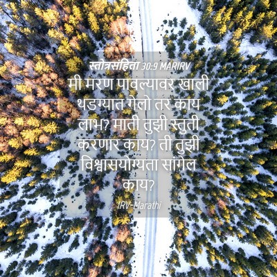 Picture 04 - स्तोत्रसंहिता 30:9 MARIRV - मी मरण पावल्यावर - Bible Verse Picture