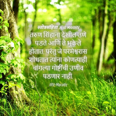 Picture 04 - स्तोत्रसंहिता 34:10 MARIRV - तरुण सिंहाना - Bible Verse Picture