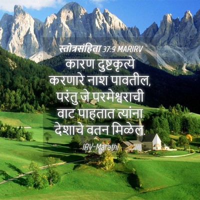 Picture 04 - स्तोत्रसंहिता 37:9 MARIRV - कारण दुष्टकृत्ये - Bible Verse Picture